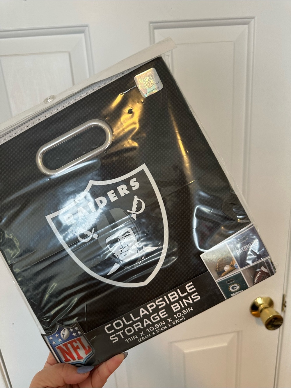 NFL Raiders Collapsible Storage Bin